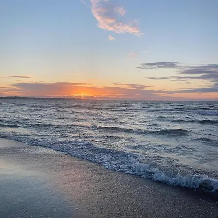 Nowy * シフィノウイシチェ