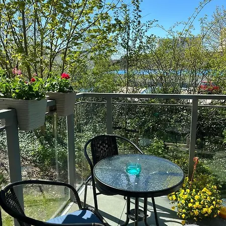 Nowy シフィノウイシチェ