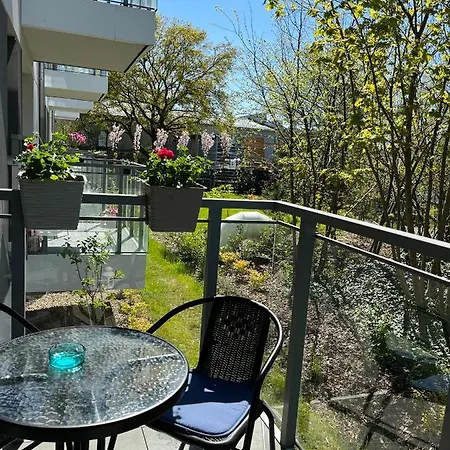 Nowy * シフィノウイシチェ